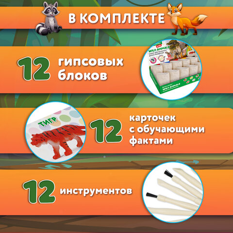 Набор для раскопок «Дикие животные»12 видовкарточкиинструментыBRAUBERG KIDS665128