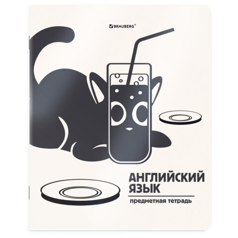 Тетради предметные, КОМПЛЕКТ 12 ПРЕДМЕТОВ 48 л., пластиковая обложка, BRAUBERG «КОТ-НЕПОСЕДА»