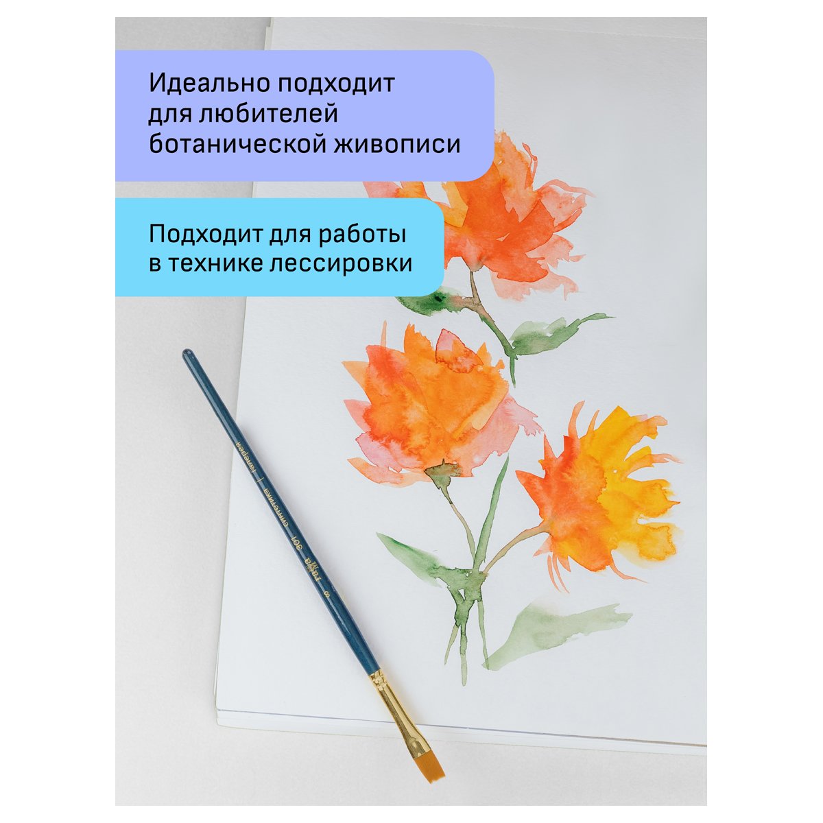 Набор художественных кистей синтетика Гамма «Галерея», 6шт., круглые №2/0, 3, 6, плоские №2, 8, веерные № 4, блистер, европодвес