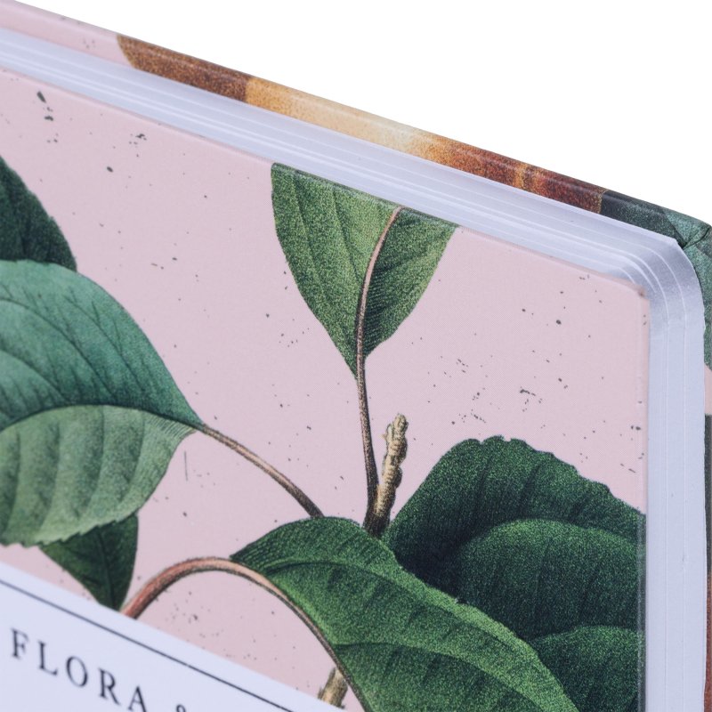 Тетрадь общая, BS, А5, 120л., точка, твердый, спираль. Flora, персики N4211