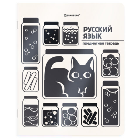 Тетради предметные, КОМПЛЕКТ 12 ПРЕДМЕТОВ 48 л., пластиковая обложка, BRAUBERG «КОТ-НЕПОСЕДА»