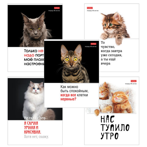 превью Тетрадь А5 48 л., HATBER скоба, клетка, обложка картон, «Котоюмор» (микс в спайке), 079790