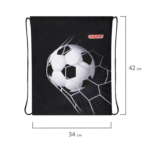Мешок для обуви ПИФАГОР, 1 отделение, 42×34 см, «Ball kick»