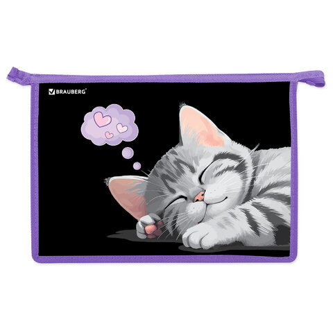 превью Папка для труда на молнии BRAUBERG А4, 2 отделения, органайзер, «Sleeping kitten»