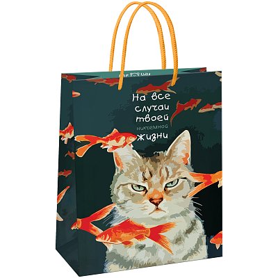 Пакет подарочный 11×14×6.5см MESHU «Moody cat», глянцевая ламинация