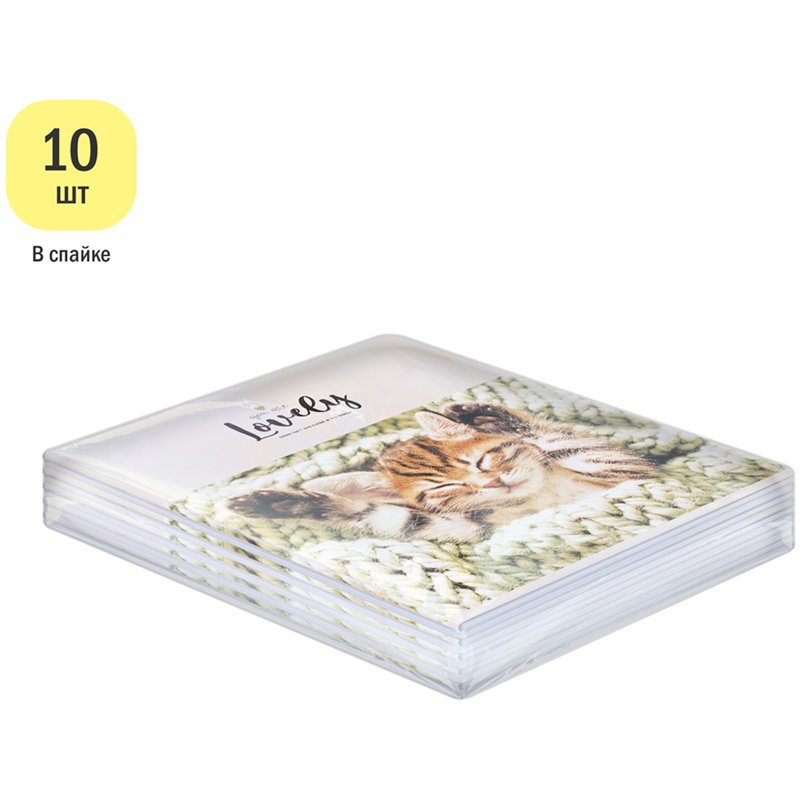 Тетрадь 48л., А5, клетка ArtSpace «Питомцы. Lovely Cat», эконом