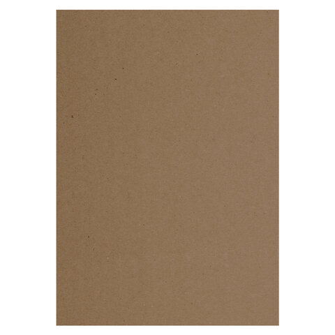 Крафт-бумага для графикиэскизов А4 (210×297 мм)160 г/м2100 л. BRAUBERG ART CLASSIC112487