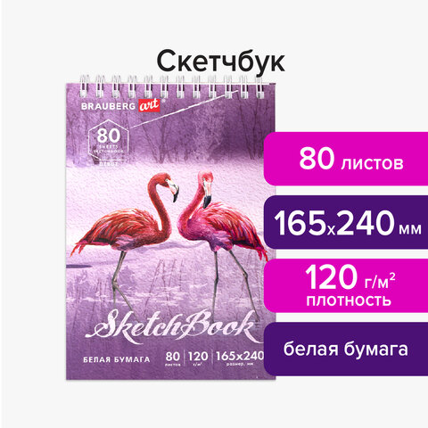 Скетчбук, белая бумага 120 г/м2 165×240 мм, 80 л., гребень, твердая обложка, BRAUBERG ART DEBUT