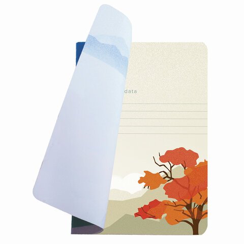 Тетрадь 40 л. в клетку обложка SoftTouch, бежевая бумага 70 г/м2, сшивка, А5 (147×210 мм), РЕКА, BRAUBERG