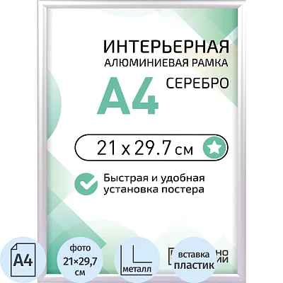 Рамка 210×297, серебристая, алюминевая, ПЭТ стекло 2019_04_72_345