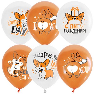 Воздушные шары, 25шт., М12/30см, ПатиБум «White&Orange. Корги. С днем рождения», декоратор, шелк