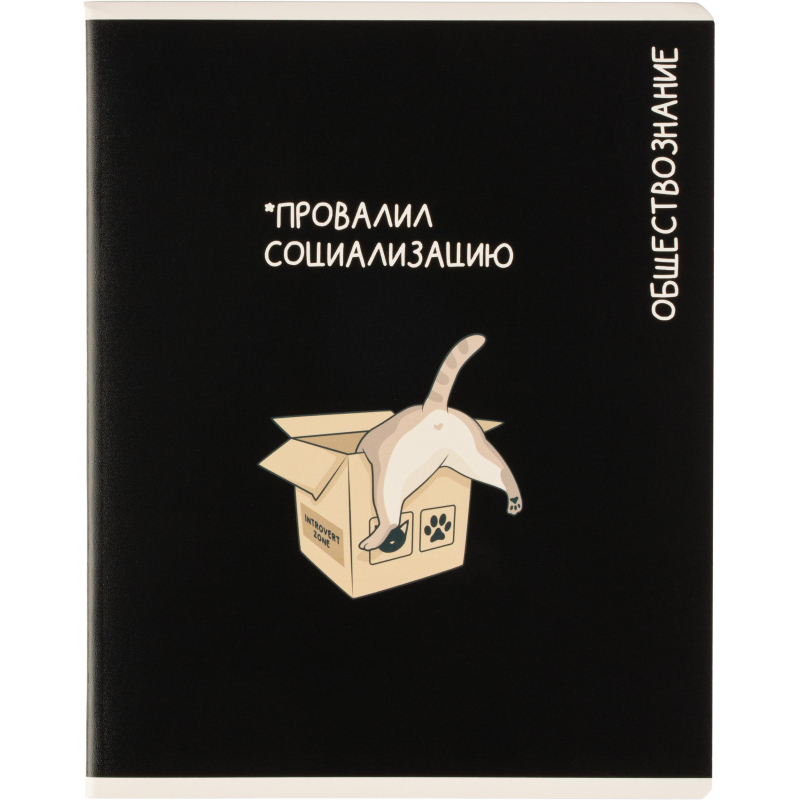 Тетрадь предметная КОТЫ МЕМЫ, набор12 шт.48л, А5+, клетка/линия/71449