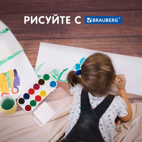 Краски акварельные BRAUBERG, 12 цветов, медовые, без кисти, пластиковая коробка, европодвес