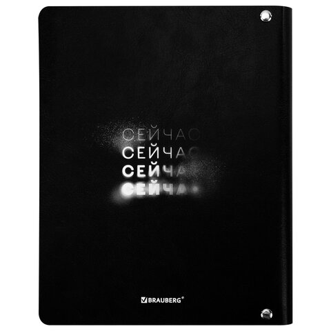 Тетрадь на кольцах А5, 175×215 мм, 120 л., под кожу, BRAUBERG VISTA, «Сейчас»