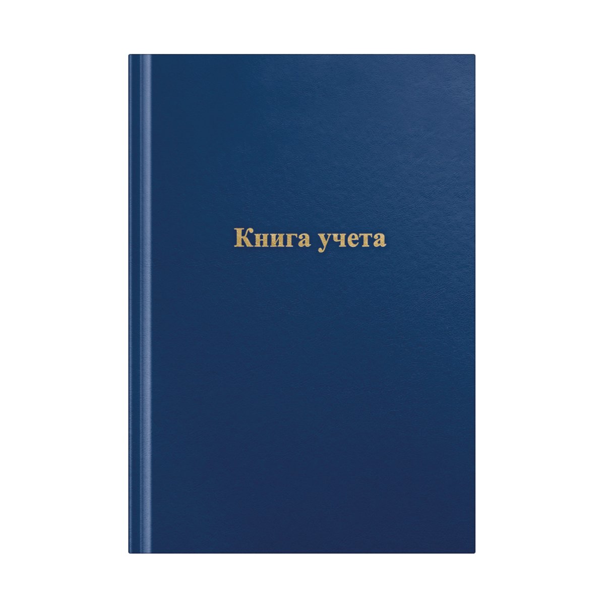 превью Книга учета OfficeSpace, А4, 144л., линия, 200×290мм, бумвинил, цвет синий, блок офсетный