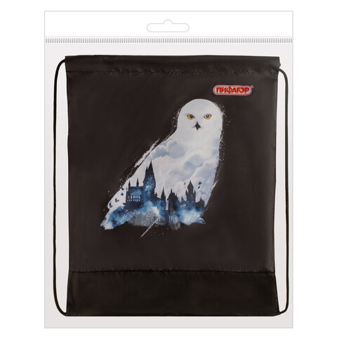 Сумка для обуви ПИФАГОР1 отделение42×34 см«White Owl»270182