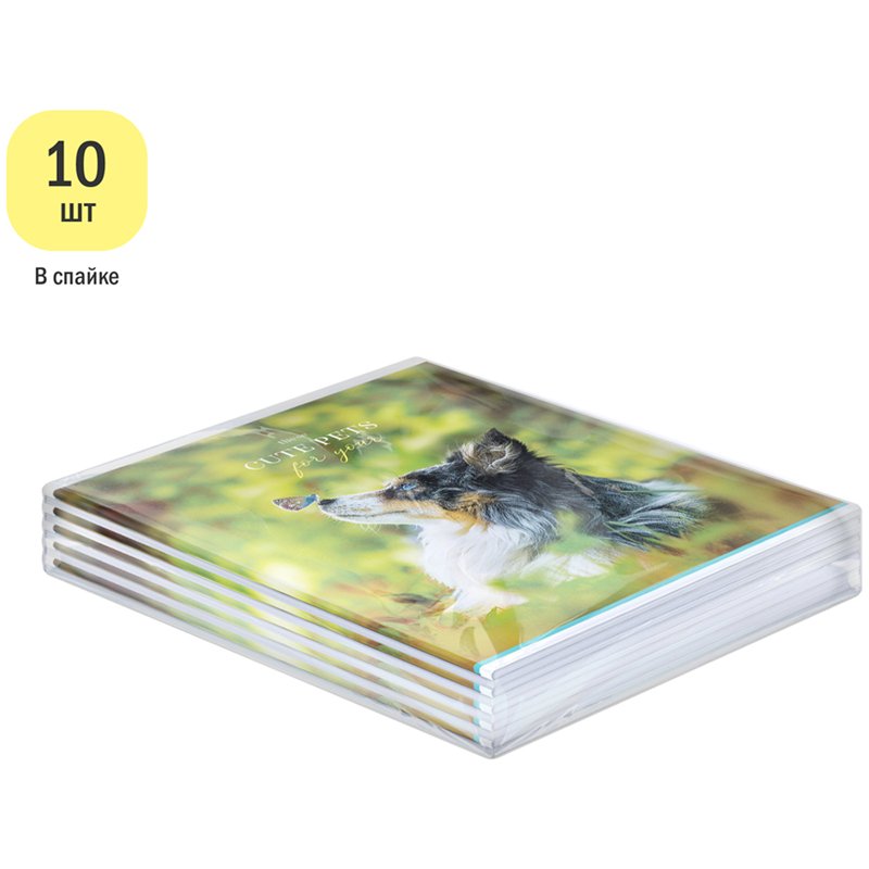 Тетрадь 48л., А5, клетка ArtSpace «Питомцы. Sweet moment», суперэконом