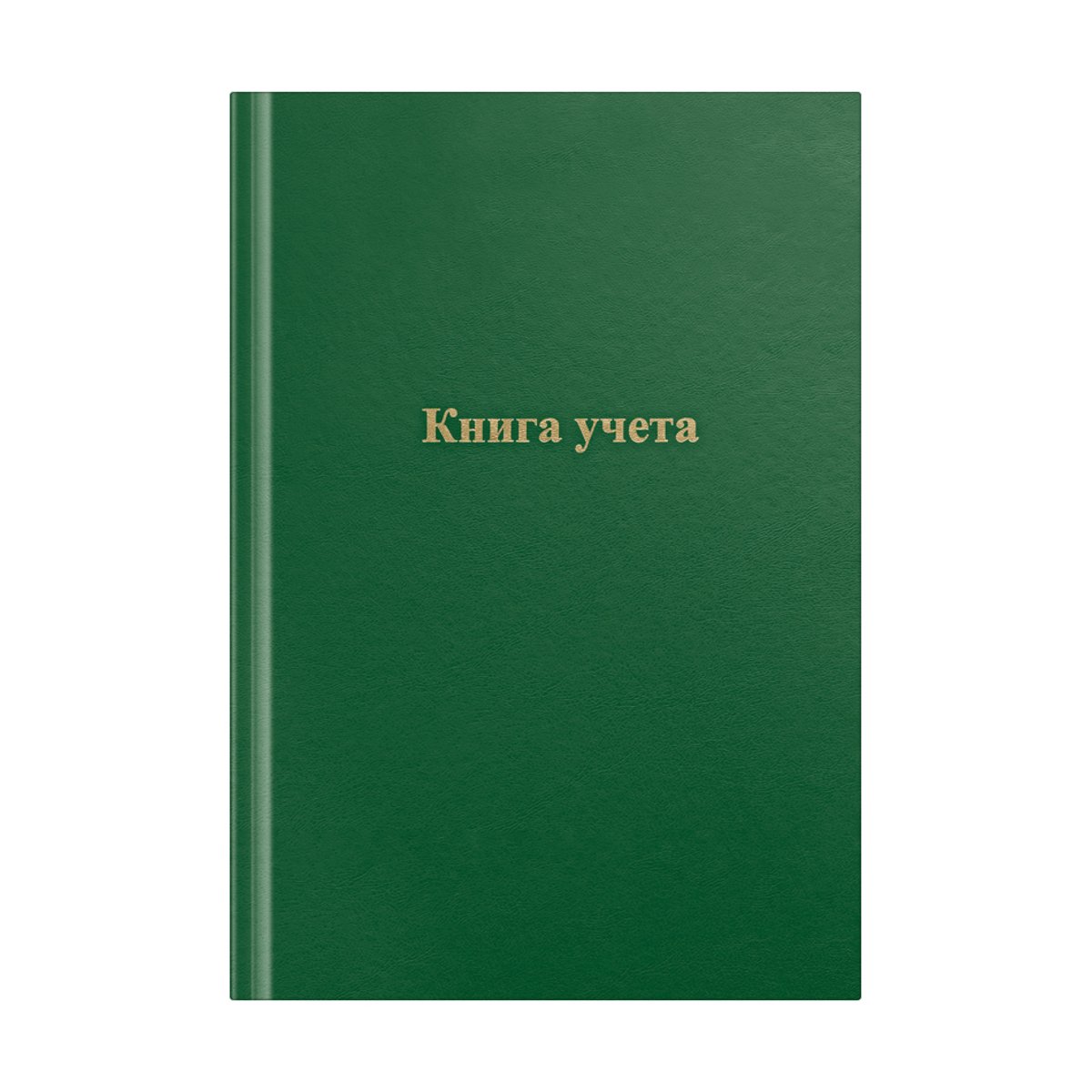 превью Книга учета OfficeSpace, А4, 192л., клетка, 200×290мм, бумвинил, цвет зеленый, блок офсетный