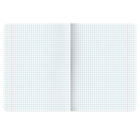 Тетради предметные, КОМПЛЕКТ 12 ПРЕДМЕТОВ, 48 л., матовая ламинация, BRAUBERG, «MINIMAL»