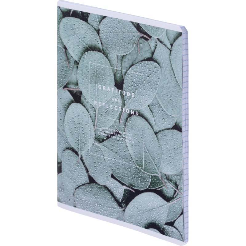 Тетрадь общая, BS, А5, 48л., клетка, скрепка. Botanica, эвк. т рамка N4169