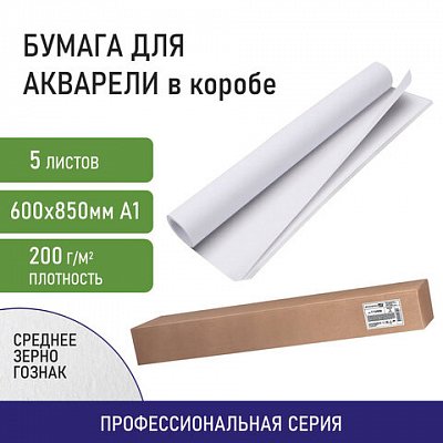 Бумага для акварели А1 (600×850 мм), КОМПЛЕКТ 5 листов, среднее зерно, 200 г/м2, ГОЗНАК, BRAUBERG ART