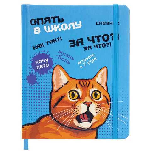 превью Дневник 1-11 класс 48 л., кожзам (твердая), печать, резинка, конверт, BRAUBERG, «Опять в школу»