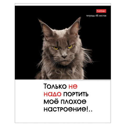 Тетрадь А5 48 л., HATBER скоба, клетка, обложка картон, «Котоюмор» (микс в спайке), 079790