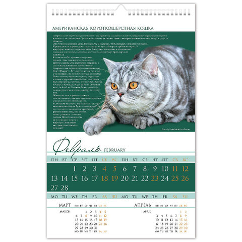 Календарь на гребне с ригелем, 2023 г., 30×45 см, ЛЮКС, «Кот», HATBER