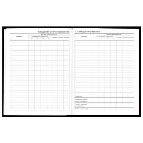 Дневник 5-11 класс 48 л., твердый, BRAUBERG, матовая ламинация, с подсказом, «Гуси»