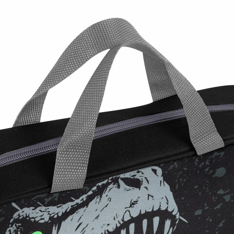 Папка на молнии с ручками BRAUBERG А4, 1 отделение, полиэстер, 80 мм, Scary dino