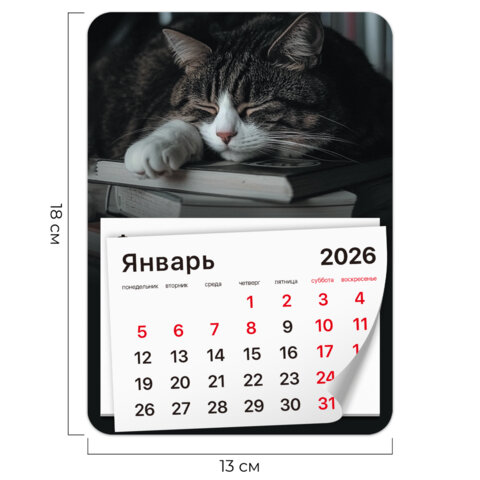 Календарь отрывной на магните на 2026 г., BRAUBERG, 130×180 мм, склейка, «Спящий кот»