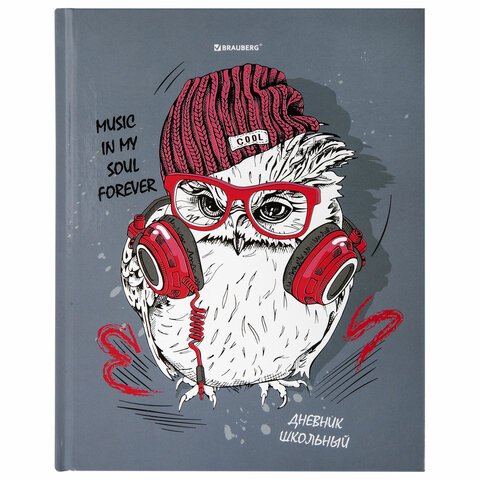 превью Дневник 1-11 класс 40 л., твердый, BRAUBERG, глянцевая ламинация, «Cool Owl»
