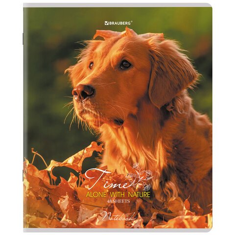 Тетради ДЭК А5 48 л. КОМПЛЕКТ 5 шт., BRAUBERG скоба, клетка, глянцевый лак, «Собачки»