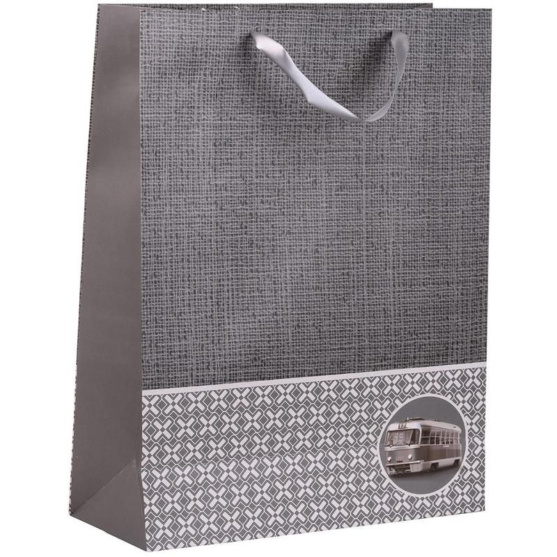 Пакет подарочный бумажный Транспорт (41×31×12 см)