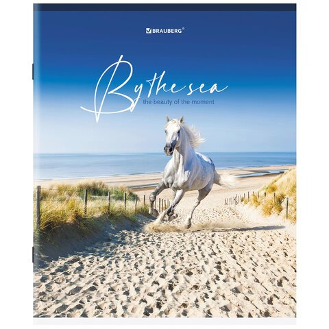 Тетрадь А5, 80 л., BRAUBERG, скоба, клетка, «By the Sea»