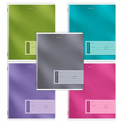 Тетради ДЭК 24 л. КОМПЛЕКТ 10 шт. BRAUBERG, линия, обложка картон, «ONE COLOUR»