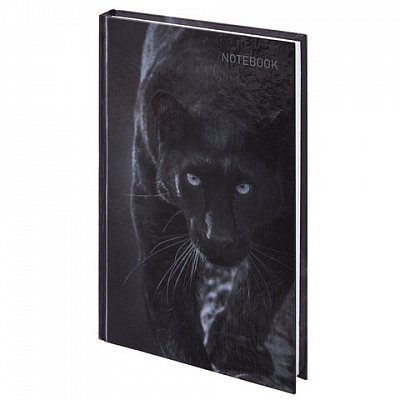 Блокнот А5 (134×206 мм), 96 л., твёрдый, клетка, STAFF, «Пантера»