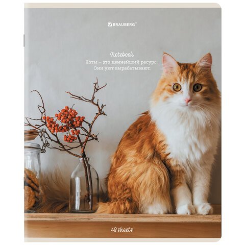 Тетради ДЭК А5 48 л. КОМПЛЕКТ 5 шт. BRAUBERGклеткаматовая ламинация«Cats»404673