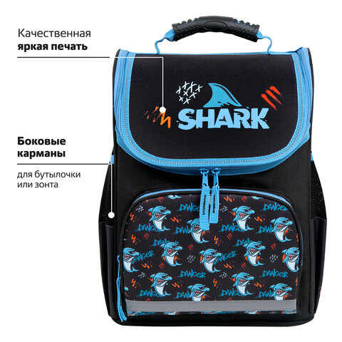 Ранец ПИФАГОР BASIC, 1 отделение, 3 кармана, эргономичная спинка, «Angry shark», 35×28х18 см