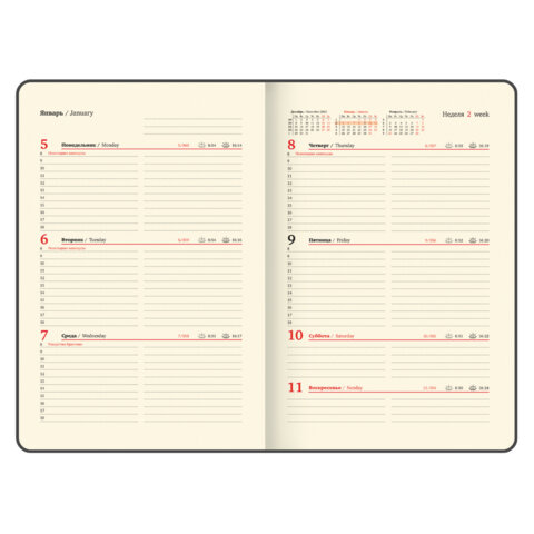 Еженедельник датированный 2026 А5 145×215 мм, BRAUBERG «Augustus», под кожу, красный