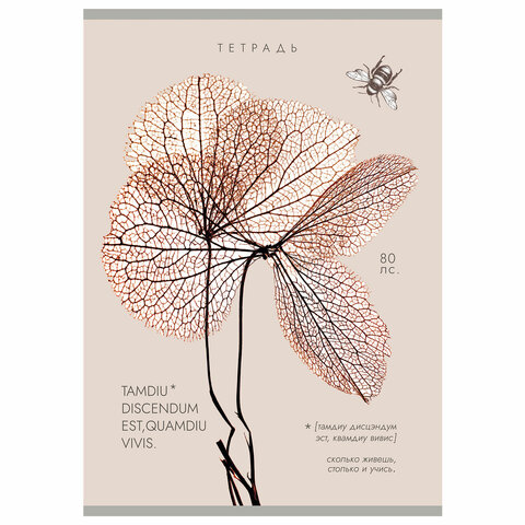 Тетрадь А4 80 л. ПЗБМ, скоба, клетка, Soft Touch, брайль, «Латынь» (микс в спайке)