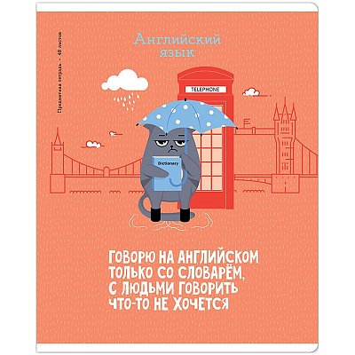 Тетрадь предметная 48л. ArtSpace «Котоцинизм» - Английский язык, ТВИН-лак