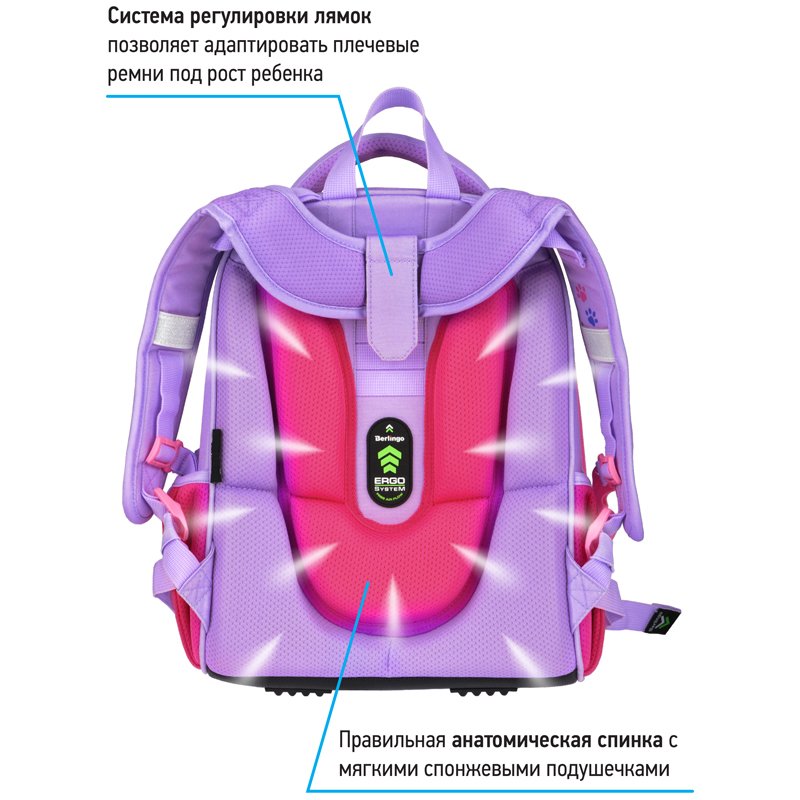 Ранец Berlingo Expert «Cute cat» 37×28×16см, 2 отделения, 2 кармана, анатомическая спинка