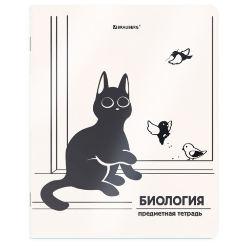 Тетради предметные, КОМПЛЕКТ 12 ПРЕДМЕТОВ 48 л., пластиковая обложка, BRAUBERG «КОТ-НЕПОСЕДА»