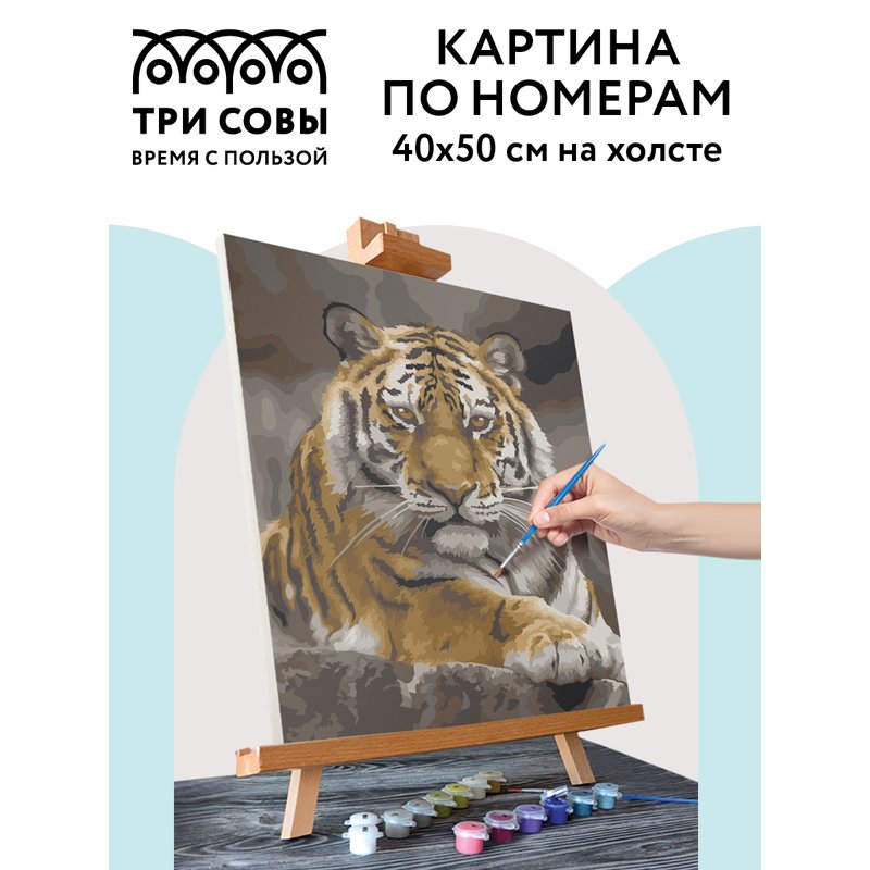 Картина по номерам на холсте ТРИ СОВЫ «Тигриная стать», 40×50, с акриловыми красками и кистями