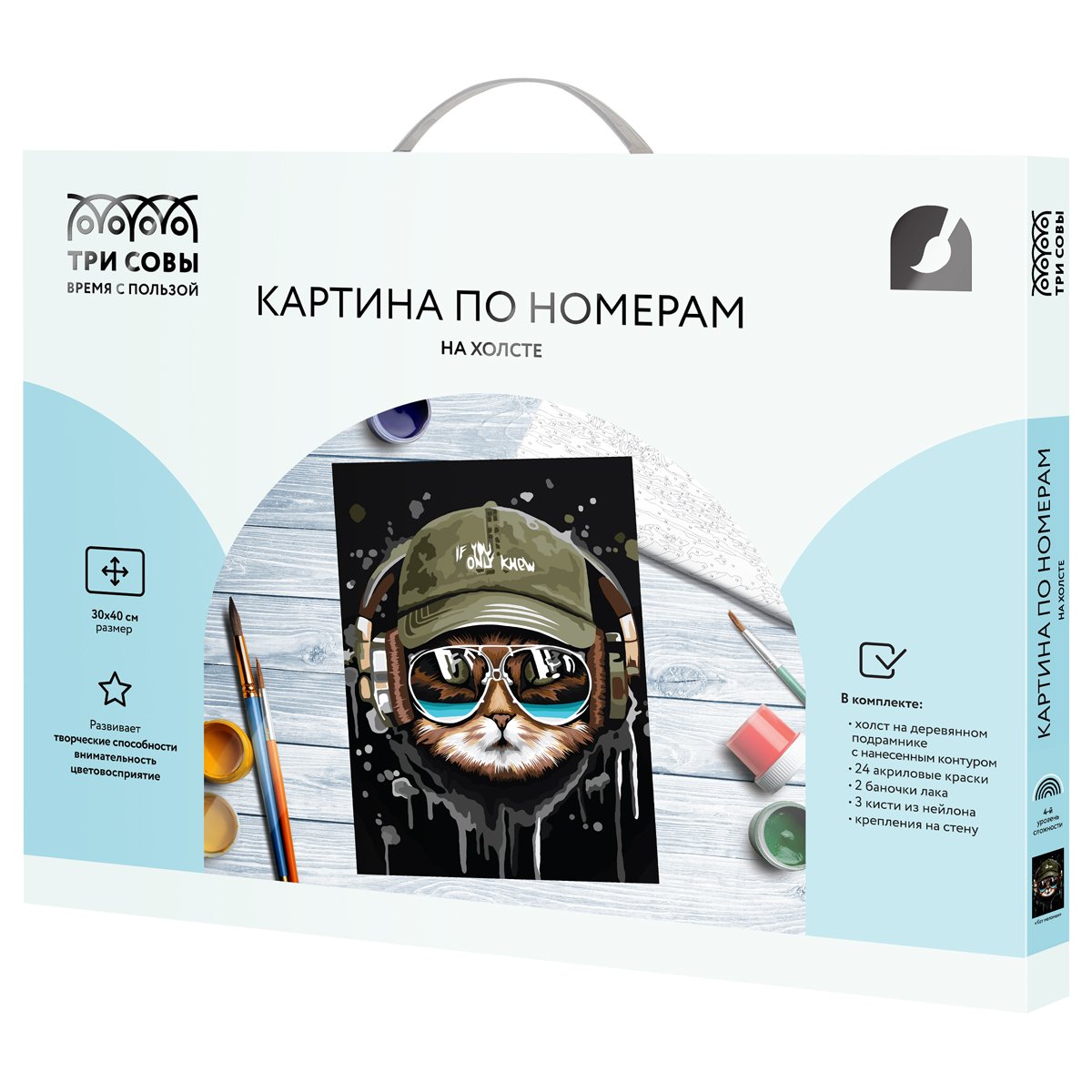 Картина по номерам на холсте ТРИ СОВЫ «Кот меломан», 30×40, с акриловыми красками и кистями