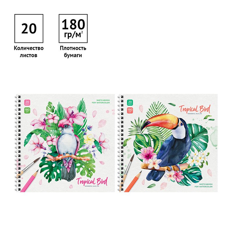 Скетчбук для акварели 20л. 190×190 на гребне ArtSpace «Tropical Bird», 180г/м2