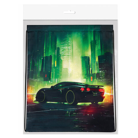 Мешок для обуви BRAUBERG KIDS, с петлей, 42×34 см, «Зеленый город»