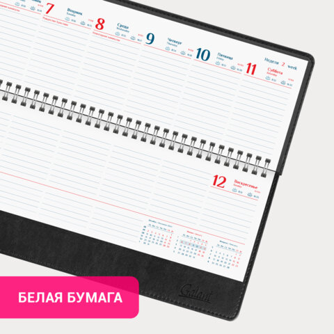 Планинг датированный 2025 305×140 мм GALANT «Ritter», под кожу, черный