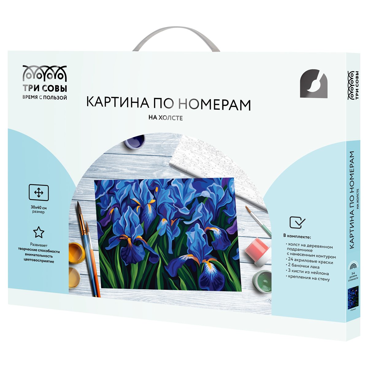 Картина по номерам на холсте ТРИ СОВЫ «Ирисы», 30×40, с акриловыми красками и кистями
